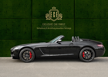 Mercedes-Benz SLS AMG Roadster kaufen