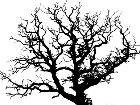 B.R.A.T.S. The Old Oak Tree
