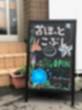 IMG_9815.jpeg