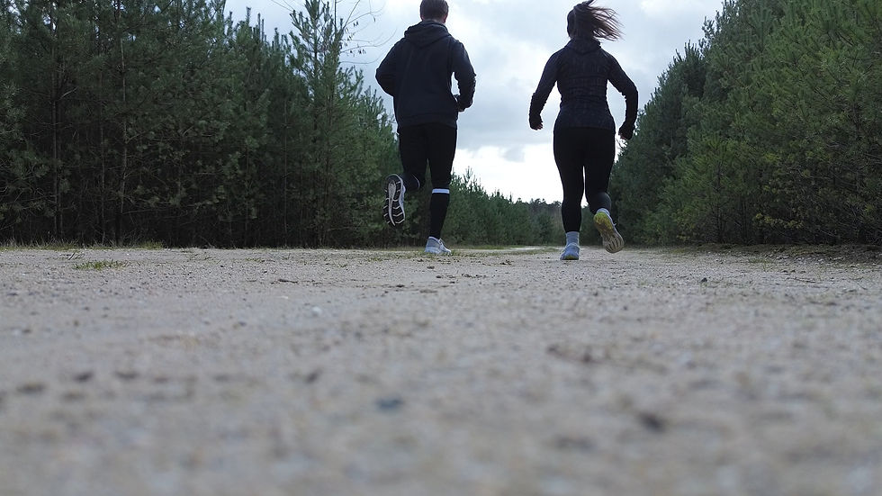 Timeline 1_01_04_15_16.jpg