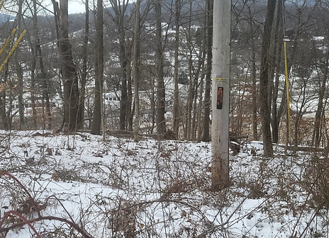 Top of the hill 2.png