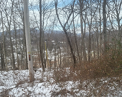 Top of the hill.png