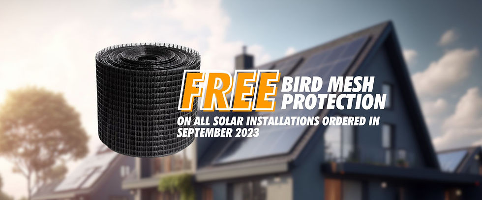 FREEBIRDMESH.jpg