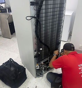 WhatsApp Image 2024-12-23 at 2.52.22 PM (2).jpeg