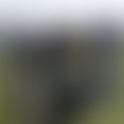 Ashugh Traditions and the Folk Life of Azerbaijanis • 2023 [Our Project]