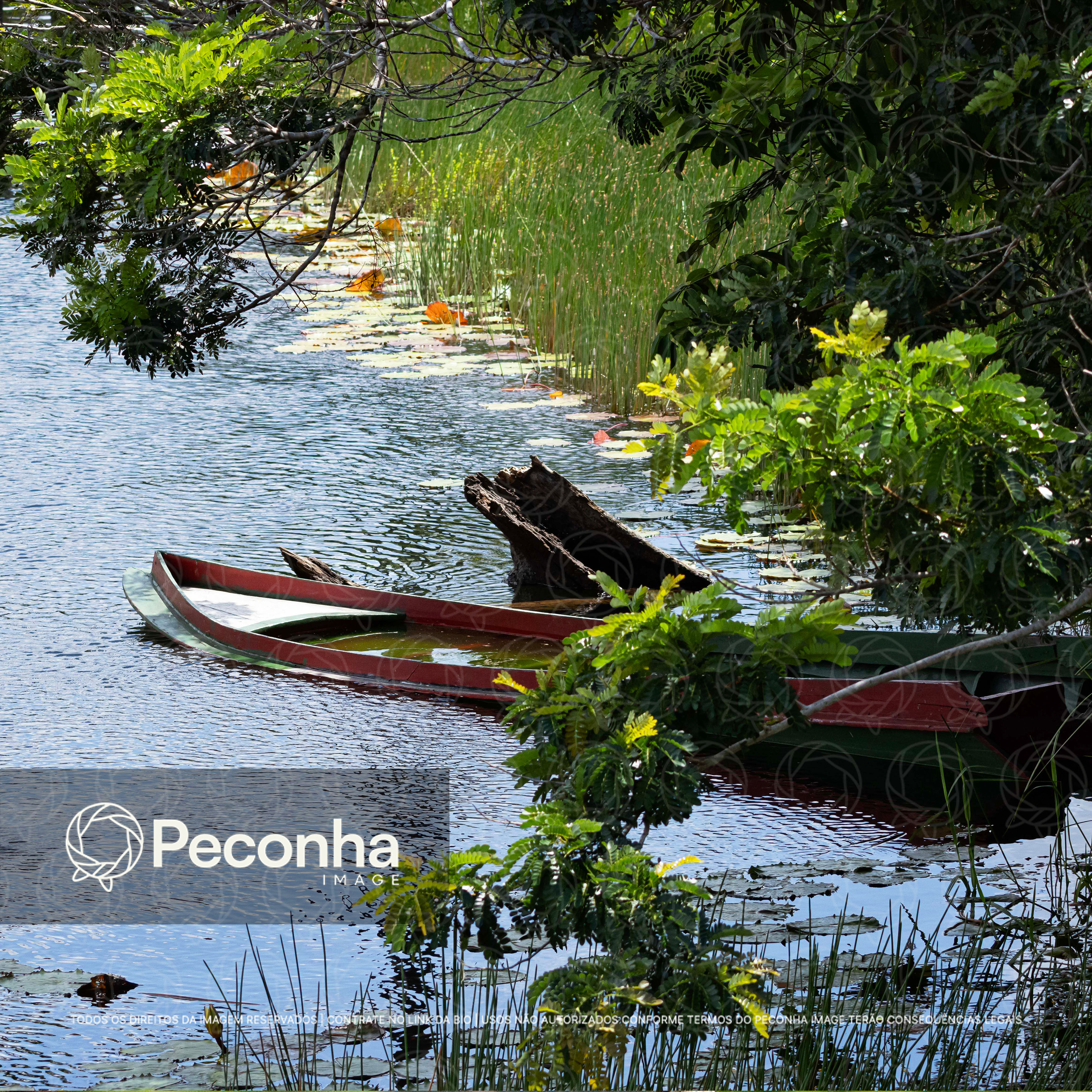 Barco imerso em paz amazônica