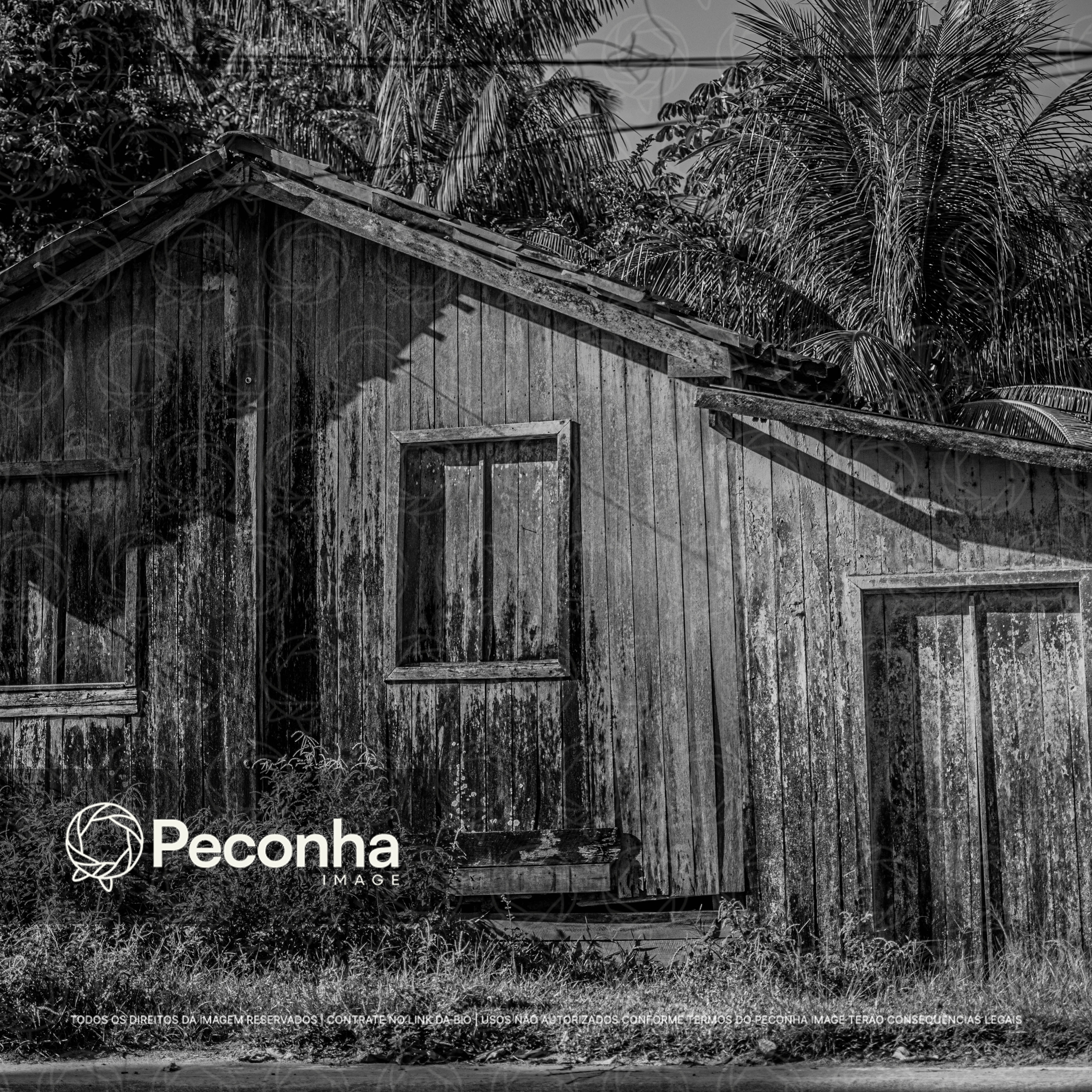 Habitação típica ribeirinha na Amazônia