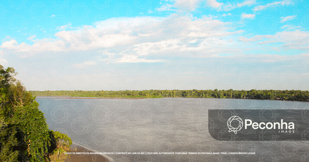 Vista panorâmica do Rio Vila Nova cercado pela densa vegetação amazônica