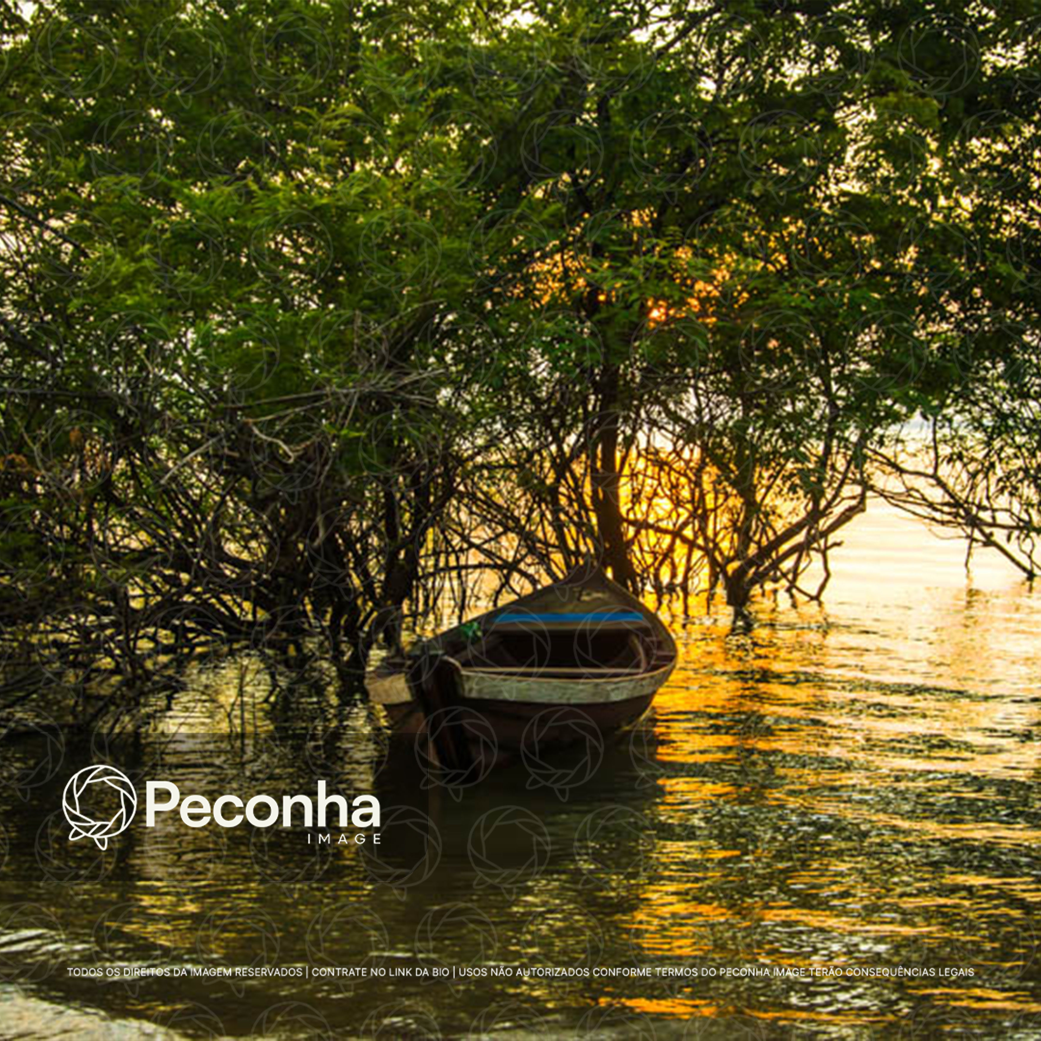 Pequeno barco de madeira ancorado sob a mata ciliar do rio, com o sol se pondo