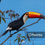 Miniatura: Tucano-toco (Ramphastos toco)