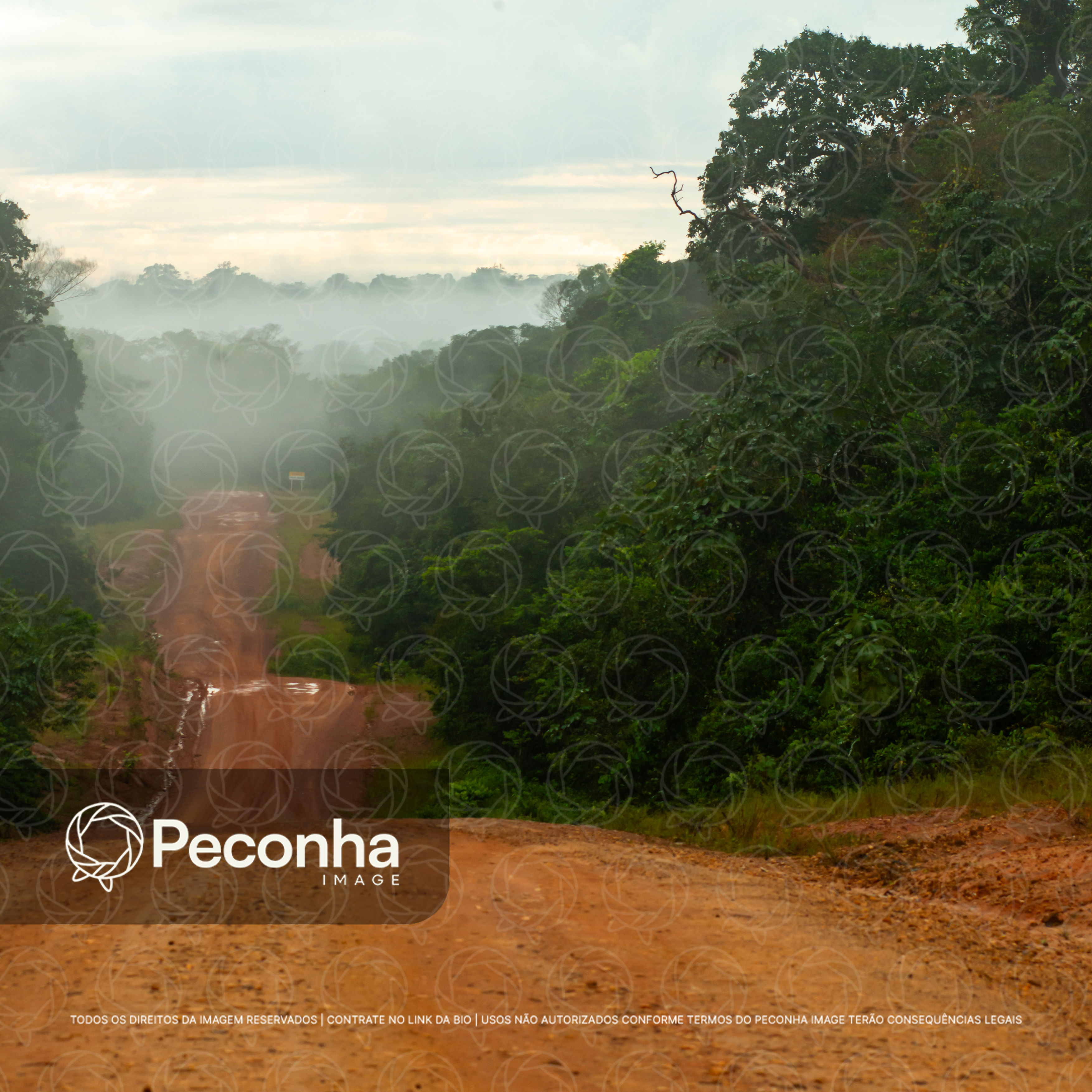 Estrada de terra na Amazônia brasileira