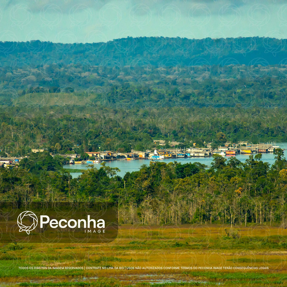 Miniatura: Comunidade ribeirinha na floresta Amazônica