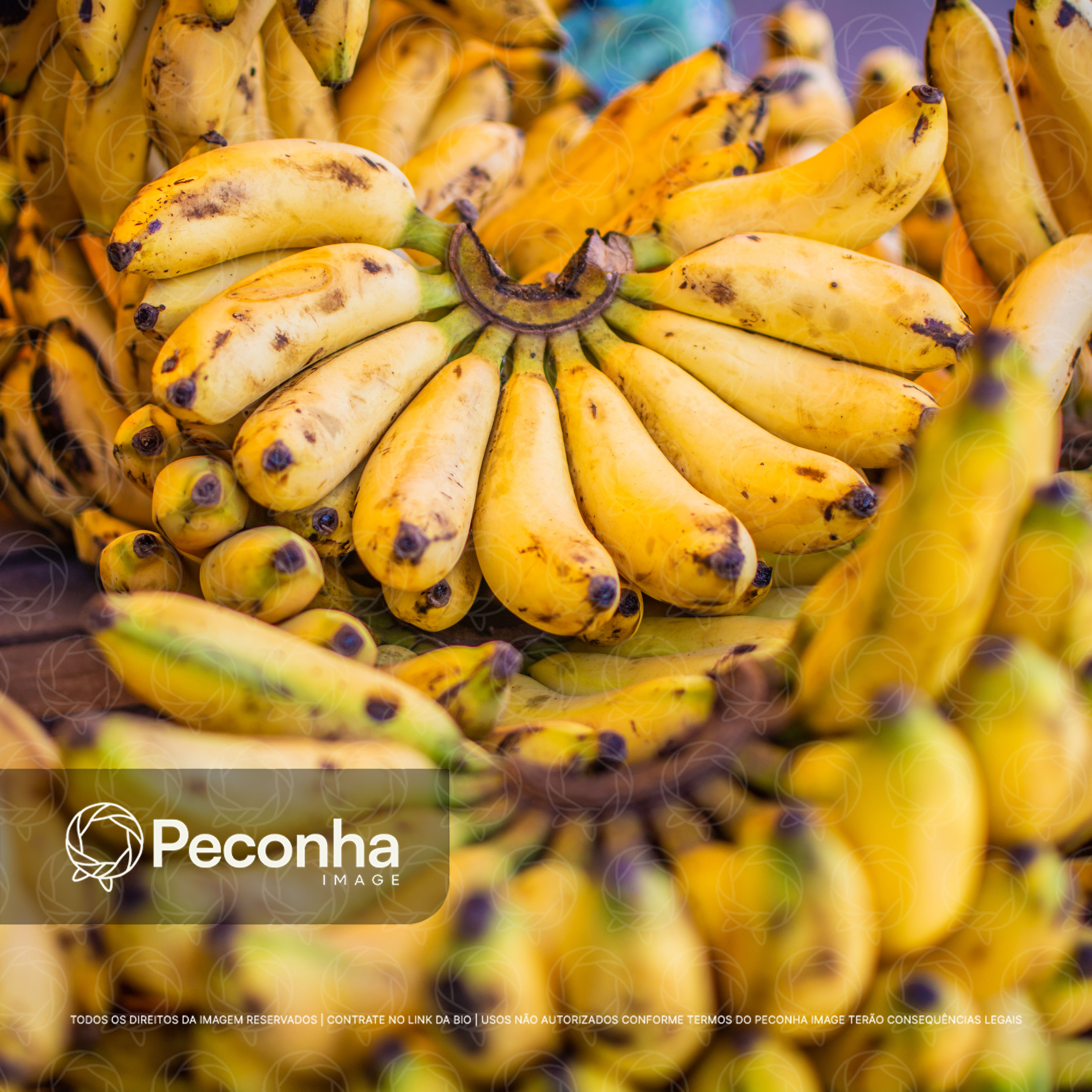 Bananas maduras na feira regional