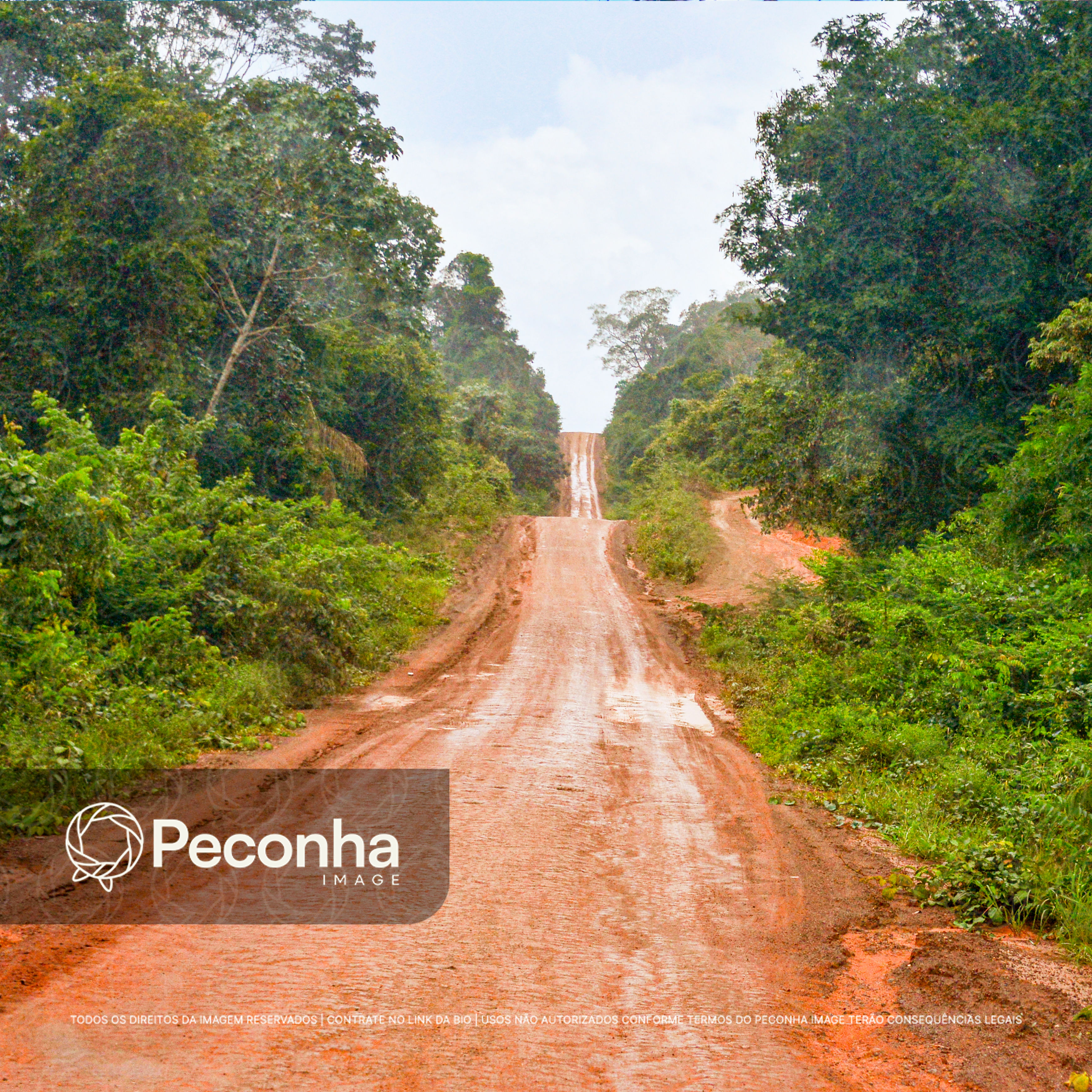 Rodovia de barro no Jari AP
