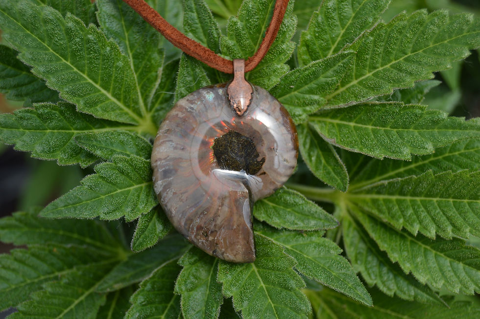 Thumbnail: Fractal Fossil Pendant~OOAK~Tourmaline/Labradorite
