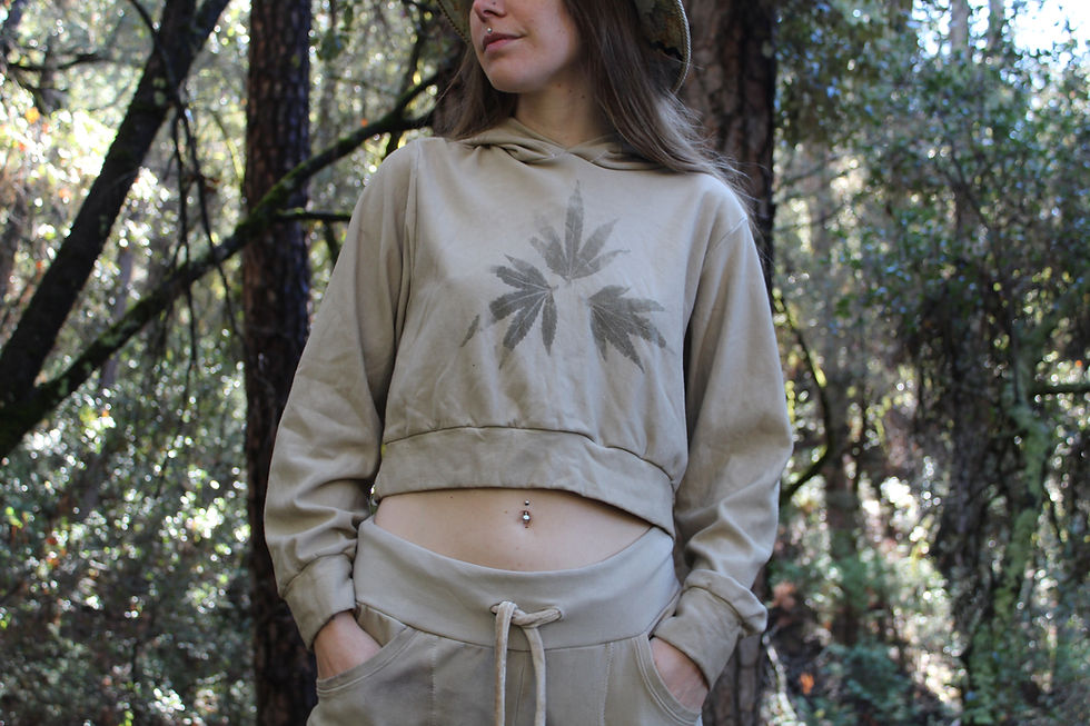 Plant Dye Crop Hoodie Acorns & SourD One of a Kind