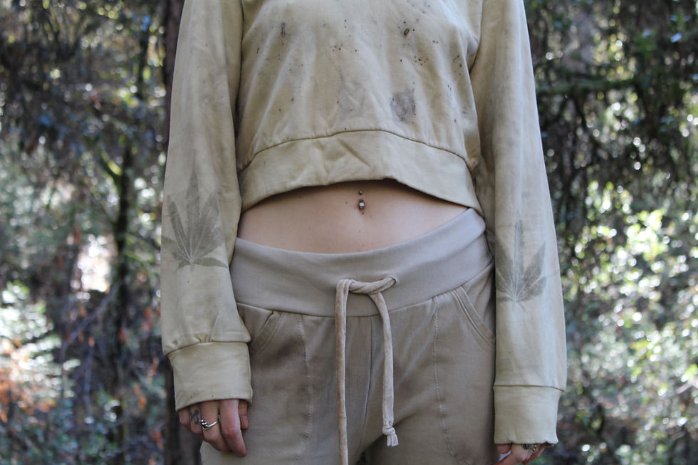 Thumbnail: Plant Dye Crop Hoodie Osage & SourD One of a Kind