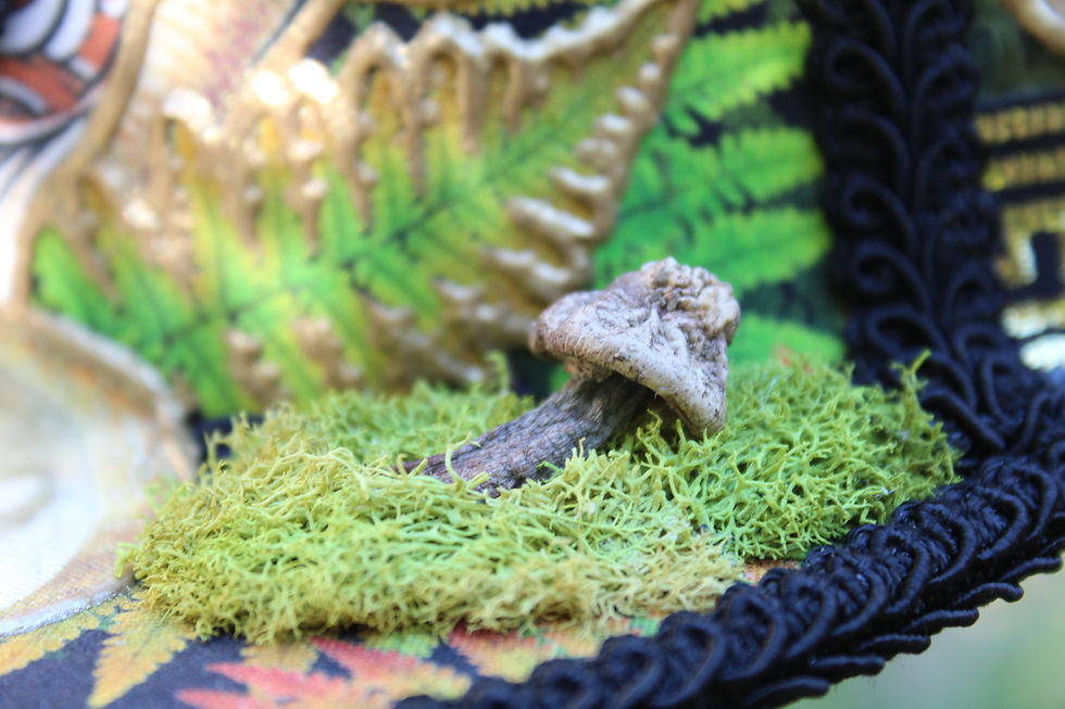Thumbnail: Knighted by Nature | One of a Kind 