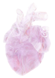 fog_heart (1)