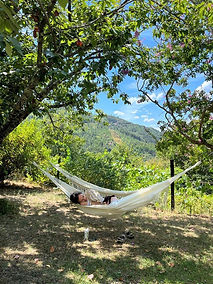 psychedelic mushroom retreat portugal psilocybin private retreat lake nature community