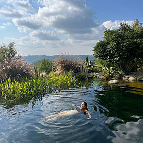psychedelic mushroom retreat portugal psilocybin private retreat lake nature community