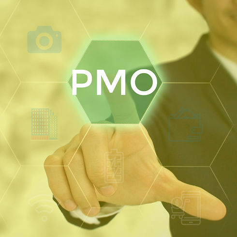 Prospective Management Overseas or project management offices - business concept_edited.jpg