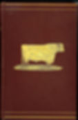 1_BATES1_fs