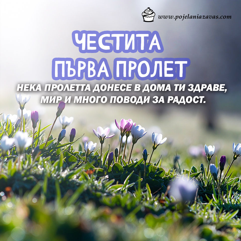 Картичка за Първа пролет, показваща макро кадър на поляна с диви лилави и бели пролетни цветя (анемони) под ярка слънчева светлина и написано уникално пожелание за първа пролет.
