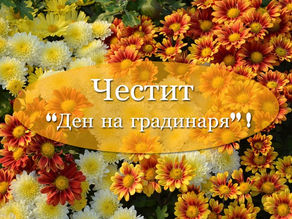 1-ви август - Честит Ден на Градинаря