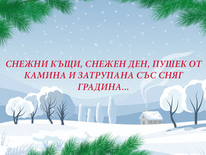 Картичка - Зимна