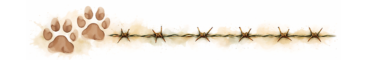 Pictures for Website (1).png