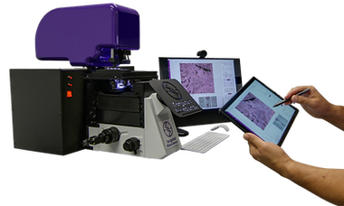 Excellent Spatial molecular profiling