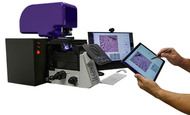 Excellent Spatial molecular profiling