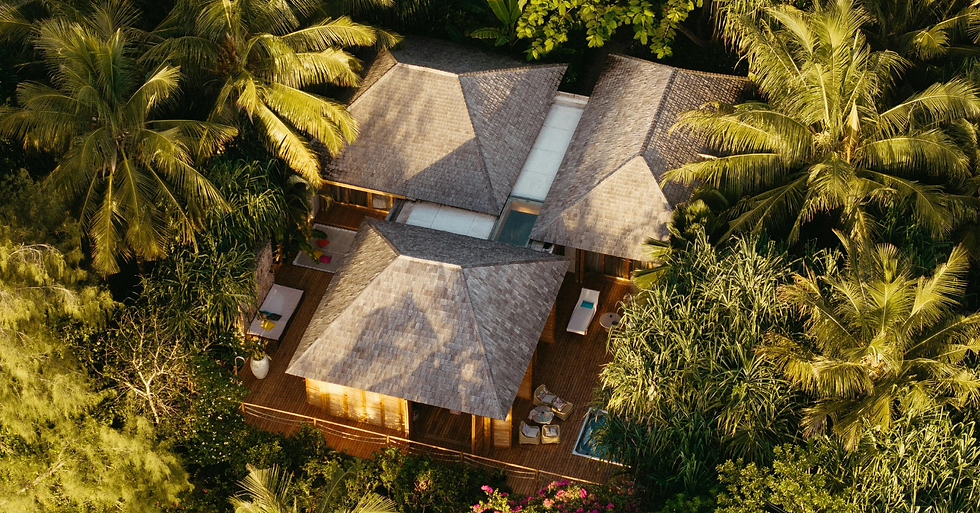 Aerial view of a wooden tropical villa hidden among palm trees and lush greenery.