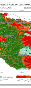ZONIFICACIÓN DE APTITUD PRODUCTIVA LÚPULO VARIEDAD CASCADE, CONDICIONES CLIMÁTICAS FUTURAS (ESCENARIO IPCC 2040)