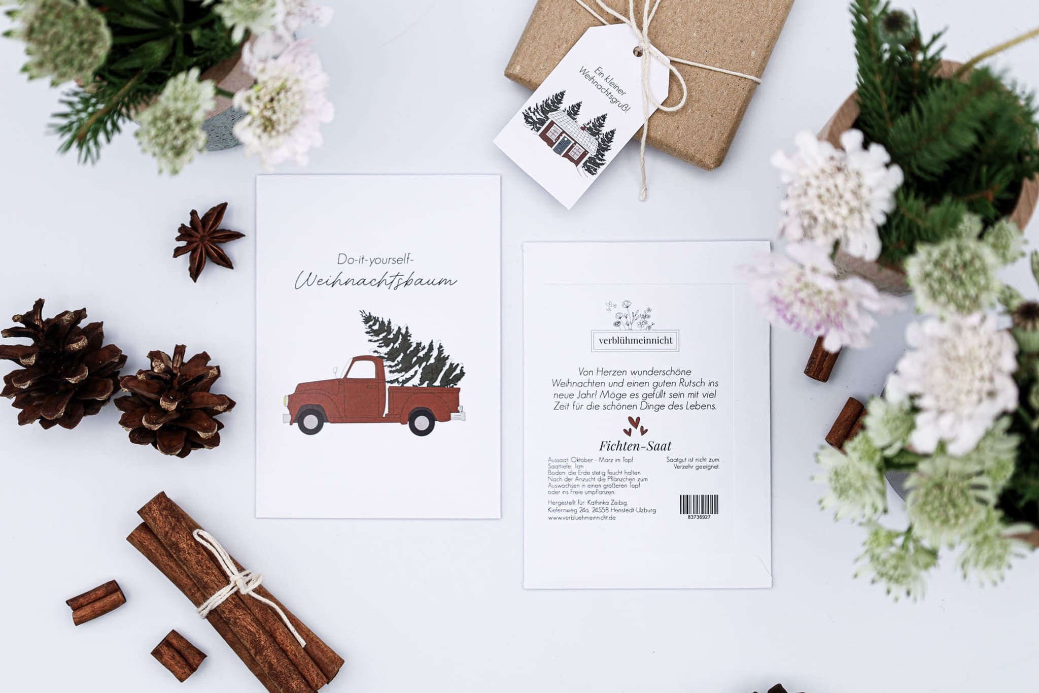 Fichten-Saat - Do-it-yourself-Weihnachtsbaum