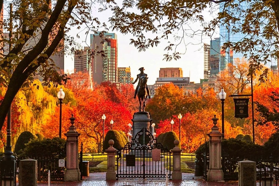 Fall foliage along the Charles River Esplanade with the Boston skyline in the background