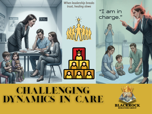 Why Non-Clinical Directors Put Silicon Valley Children at Risk: A BlackRock BCBA Shares Their Personal Story