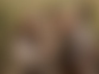 Parents laughing with toddler and baby in warm golden light – Bicentennial Park sunset – natural unposed family photos.