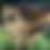 Thumbnail: BBQ/Pizza Oven Table