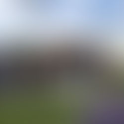 Hołd dla ofiar hitleryzmu i stalinizmu