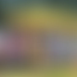 Sobótkowy festyn w Tuchomiu