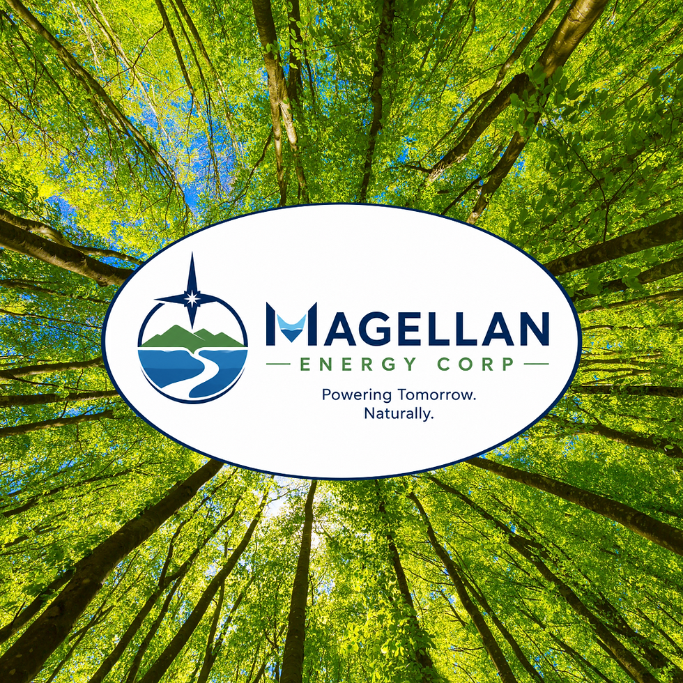 Magellan Copper and Gold Corp. Forms New Subsidiary Magellan Energy Corp.
