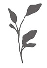 Blume.jpg