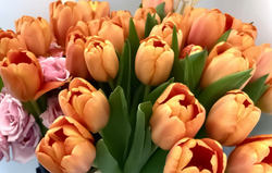 image_6483441-4_edited