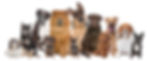 shutterstock_99357692.jpg