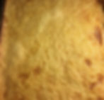 Lemon Poppy Bars (gourmet)
