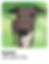Artboard 15 copy 2.png