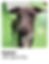 Artboard 15 copy.png