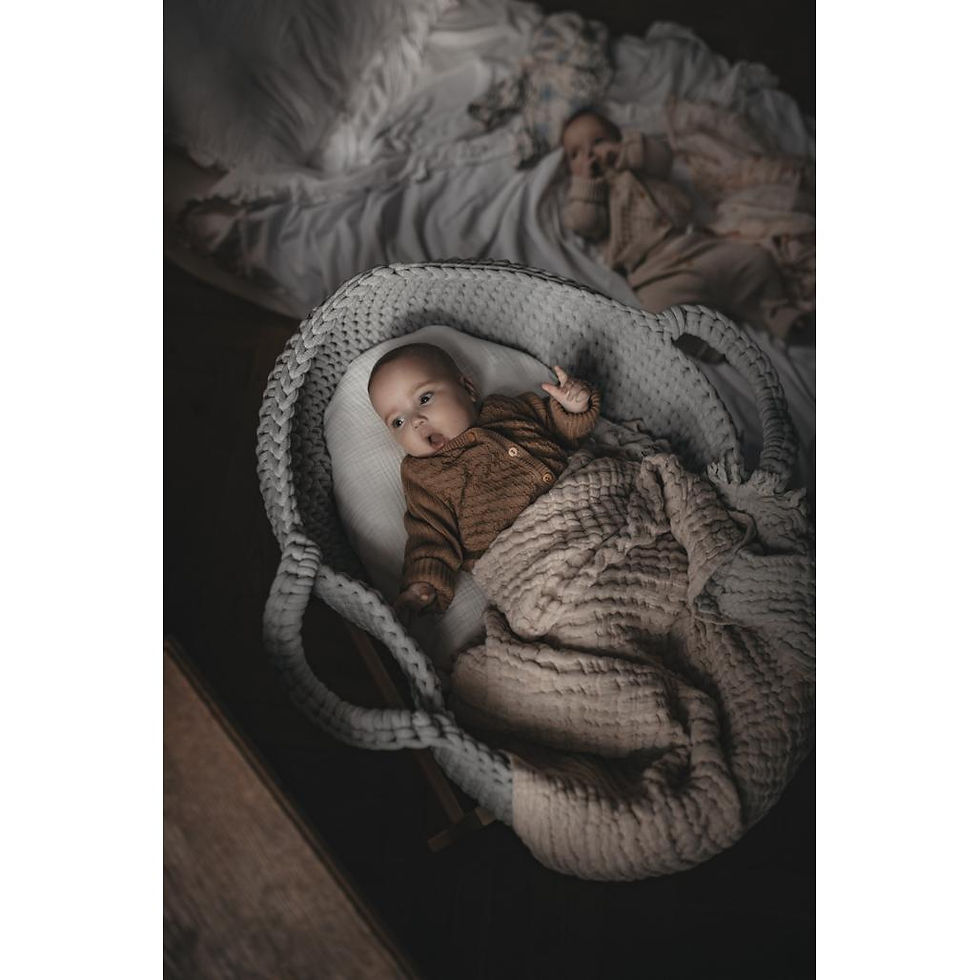 Thumbnail: Moses Basket - LightGrey